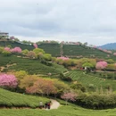 龙岩旅游 缩略图 11