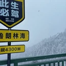 林芝旅游 缩略图 6