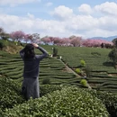 龙岩旅游 缩略图 10