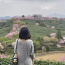 龙岩旅游 缩略图 6