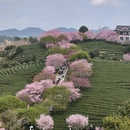 龙岩旅游 缩略图 2
