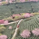 龙岩旅游 缩略图 3
