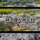 林芝旅游 缩略图 1
