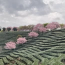龙岩旅游 缩略图 4