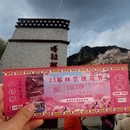 林芝旅游 缩略图 2