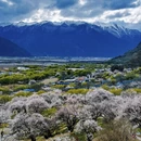林芝旅游 缩略图 7