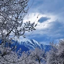 林芝旅游 缩略图 8