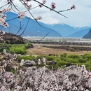 林芝旅游 缩略图 8