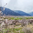 林芝旅游 缩略图 7