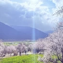 林芝旅游 缩略图 1