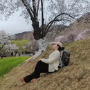 林芝旅游 缩略图 9