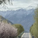 林芝旅游 缩略图 1
