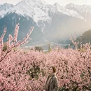 林芝旅游 缩略图 1
