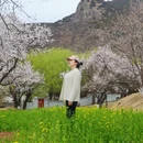 林芝旅游 缩略图 5