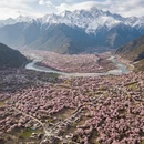 林芝旅游 缩略图 2