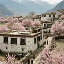 林芝旅游 缩略图 3