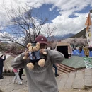林芝旅游 缩略图 4
