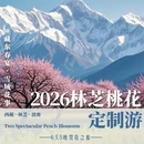 林芝旅游 缩略图 1