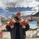 林芝旅游 缩略图 6
