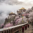 林芝旅游 缩略图 4