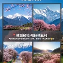 林芝旅游 缩略图 4