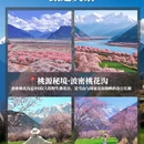 林芝旅游 缩略图 3