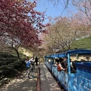 龙岩旅游 缩略图 3