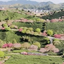 龙岩旅游 缩略图 4