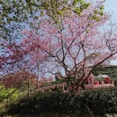 龙岩旅游 缩略图 7