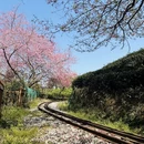 龙岩旅游 缩略图 5