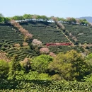 福州旅游 缩略图 5