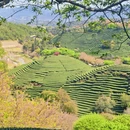 福州旅游 缩略图 2