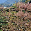 福州旅游 缩略图 4
