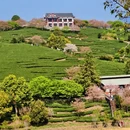 福州旅游 缩略图 11
