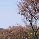 福州旅游 缩略图 9