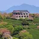 福州旅游 缩略图 10