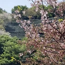 福州旅游 缩略图 15