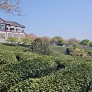 福州旅游 缩略图 16
