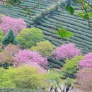 福州旅游 缩略图 2