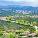福州旅游 缩略图 1