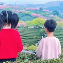 福州旅游 缩略图 8