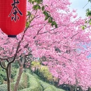 福州旅游 缩略图 5