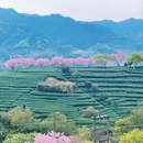 福州旅游 缩略图 3