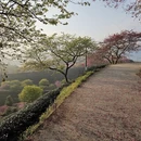 龙岩旅游 缩略图 5