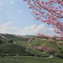 龙岩旅游 缩略图 3
