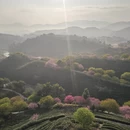 龙岩旅游 缩略图 2