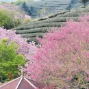 福州旅游 缩略图 7