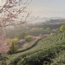 龙岩旅游 缩略图 6
