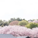 龙岩旅游 缩略图 2