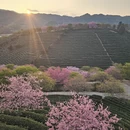 龙岩旅游 缩略图 10